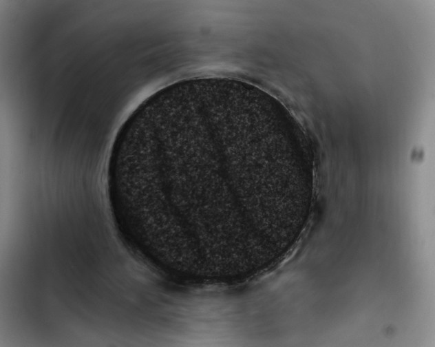 X0000102830196200809151048