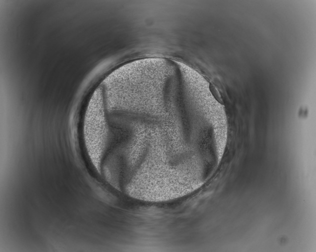 X0000102830197200809151048