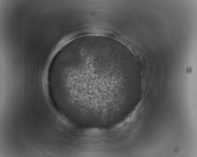 X0000102830198200809151048