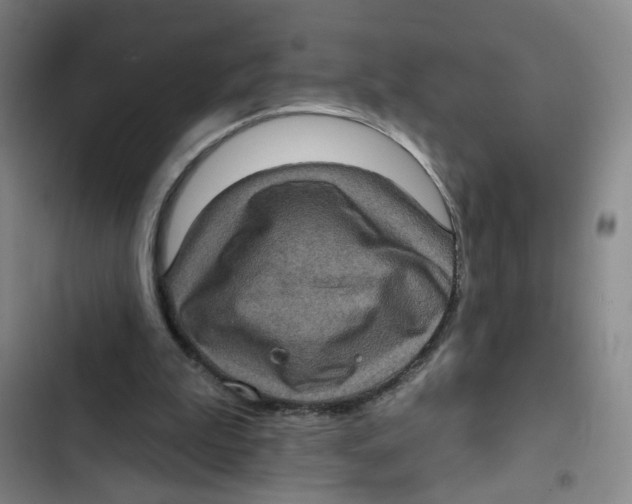 X0000102830199200809151048