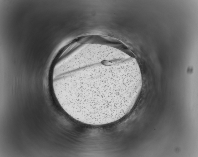 X0000102830200200809151048