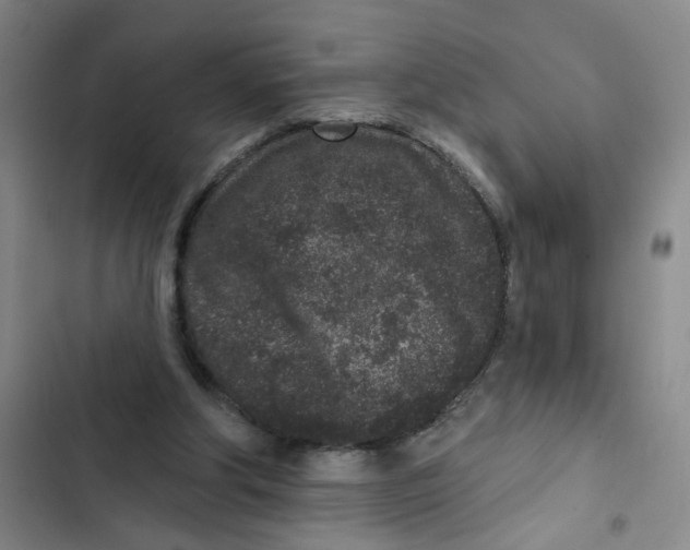 X0000102830202200809151048