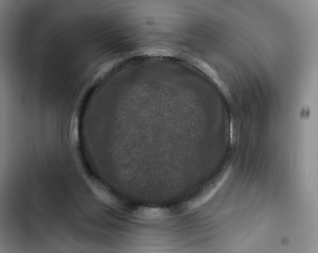 X0000102830205200809151048