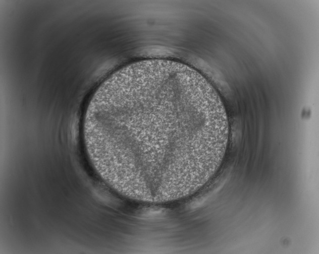 X0000102830206200809151048