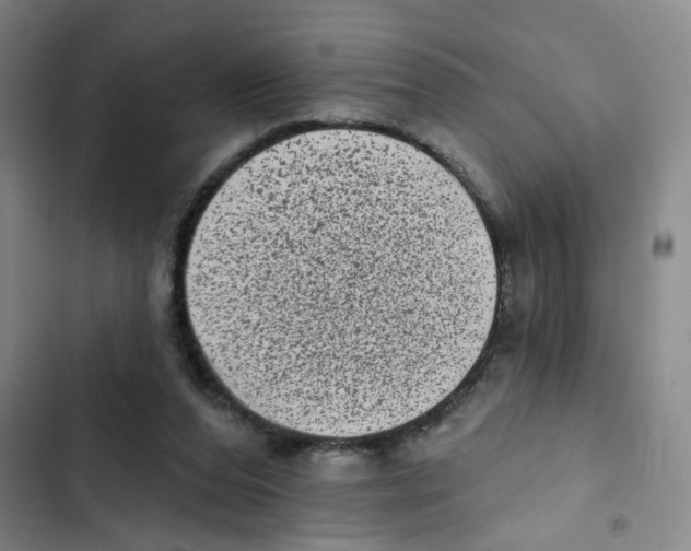 X0000102830208200809151048