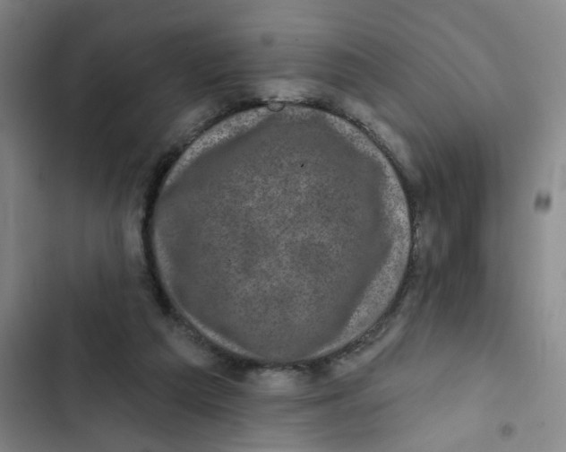 X0000102830209200809151048