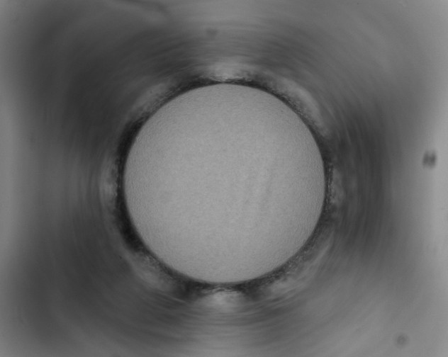 X0000102830210200809151048