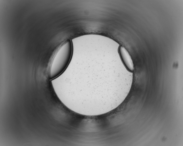 X0000102830211200809151047