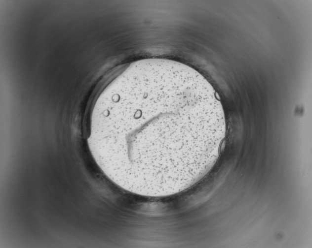 X0000102830212200809151047