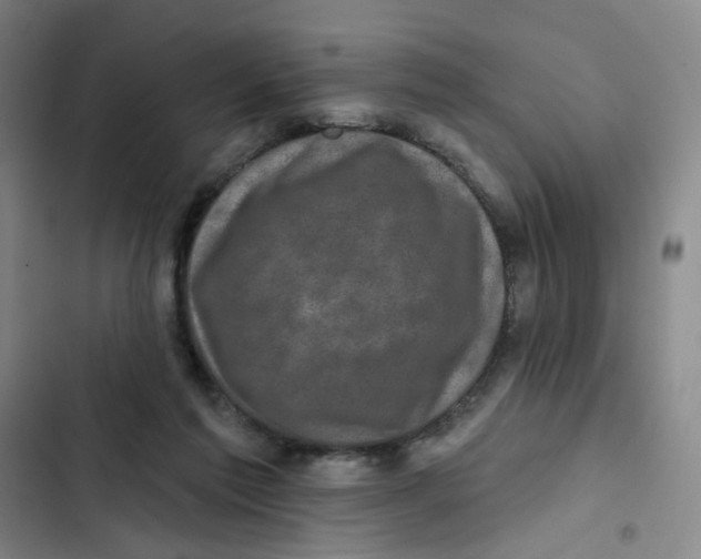 X0000102830213200809151047
