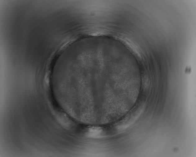 X0000102830214200809151047