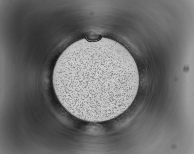 X0000102830215200809151047
