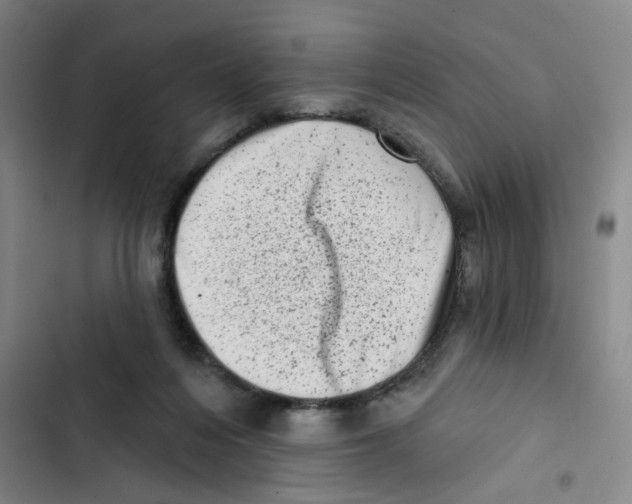 X0000102830216200809151047