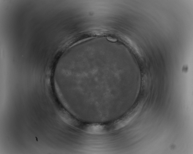 X0000102830217200809151047