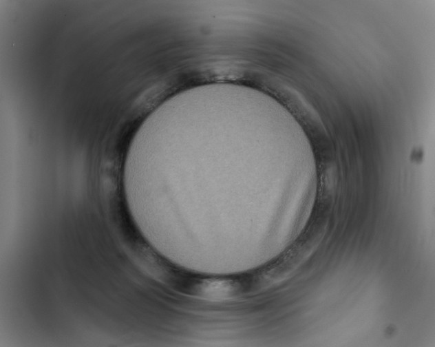 X0000102830218200809151047