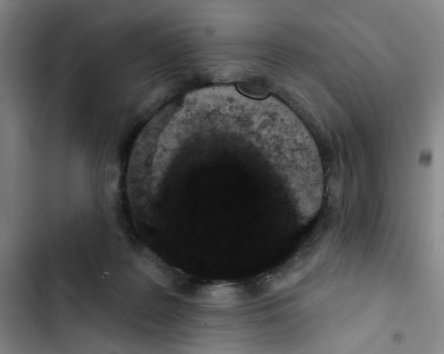 X0000102830219200809151047