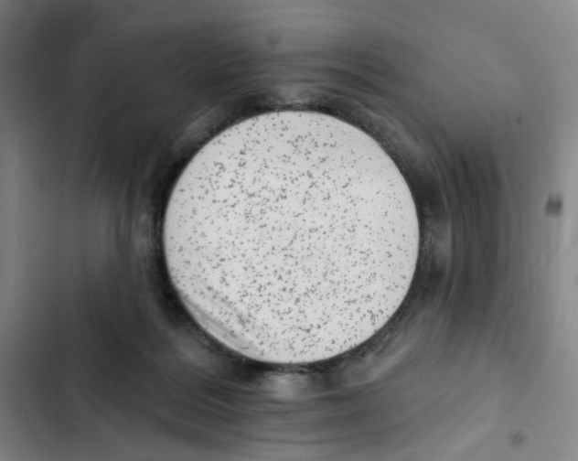 X0000102830220200809151047