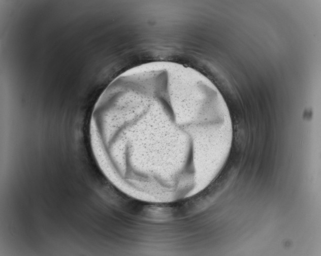 X0000102830221200809151047
