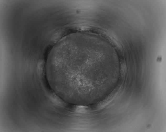 X0000102830222200809151047