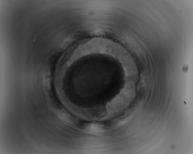 X0000102830223200809151047