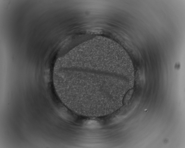 X0000102830224200809151047