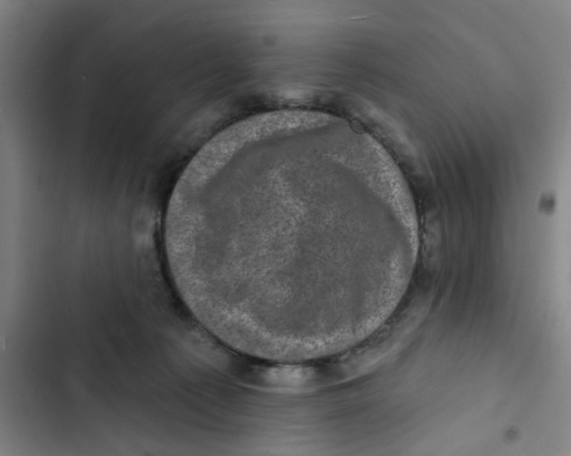 X0000102830225200809151047