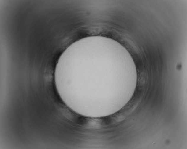 X0000102830226200809151047
