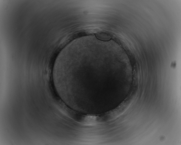 X0000102830227200809151047
