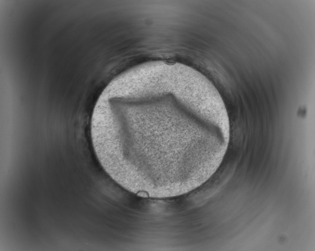 X0000102830229200809151047