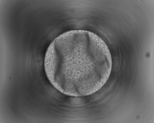 X0000102830230200809151047