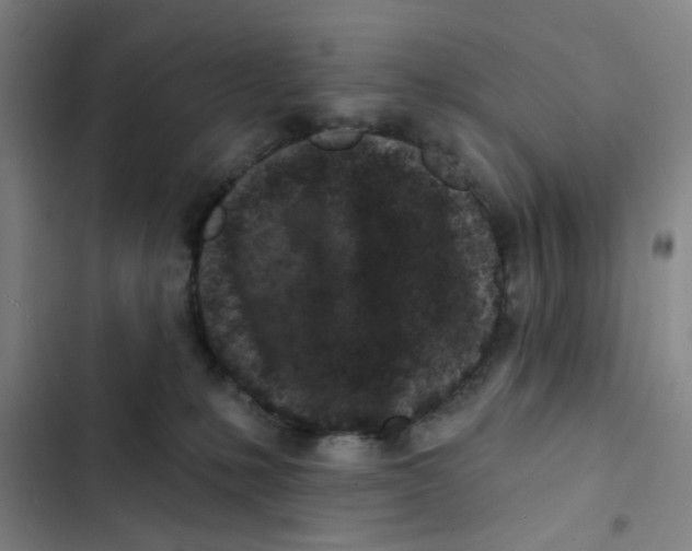 X0000102830231200809151047