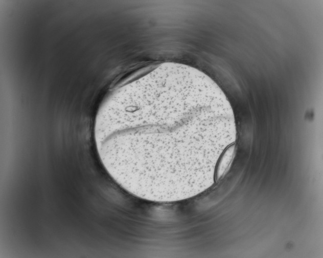 X0000102830232200809151047