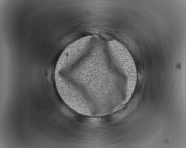 X0000102830233200809151047