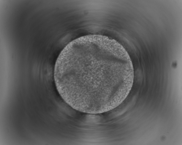 X0000102830234200809151047