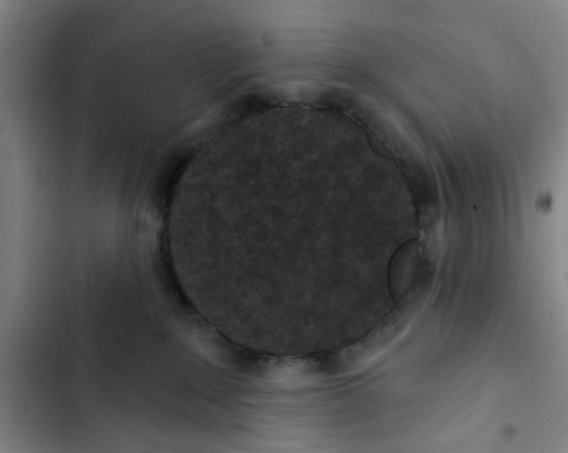 X0000102830235200809151047