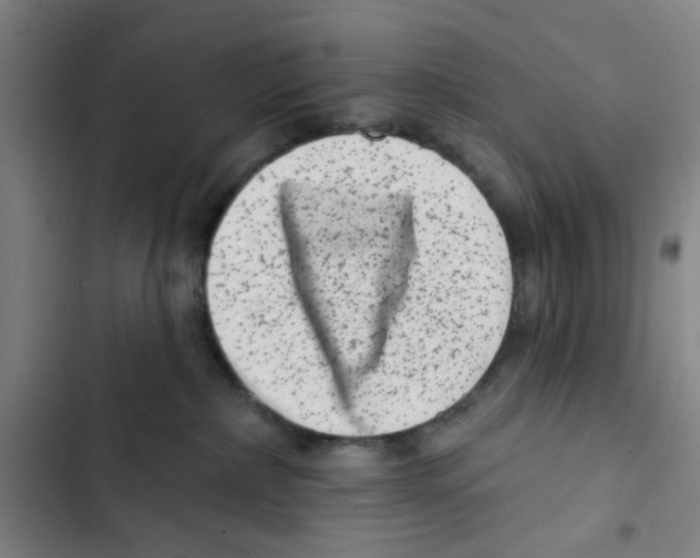 X0000102830236200809151047