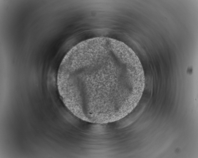 X0000102830238200809151047
