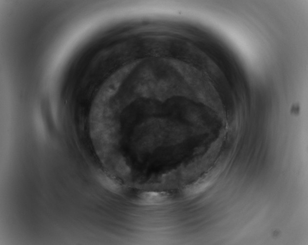 X0000102830239200809151047