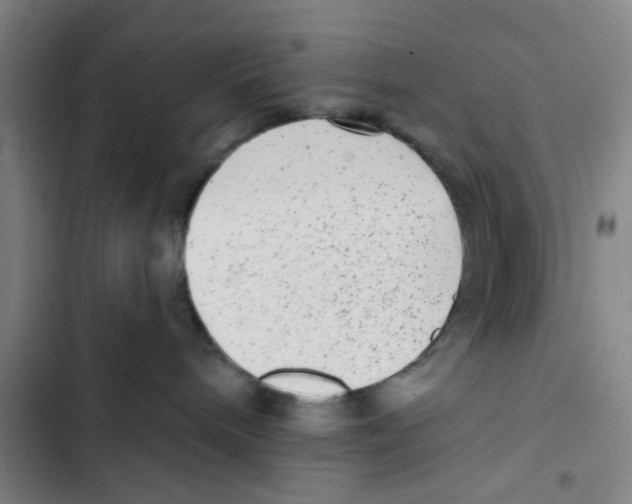 X0000102830240200809151047
