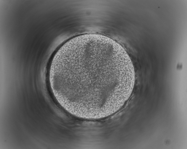 X0000102830242200809151046