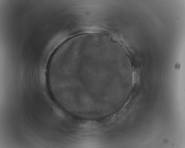 X0000102830243200809151046