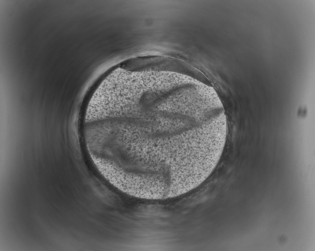 X0000102830244200809151046