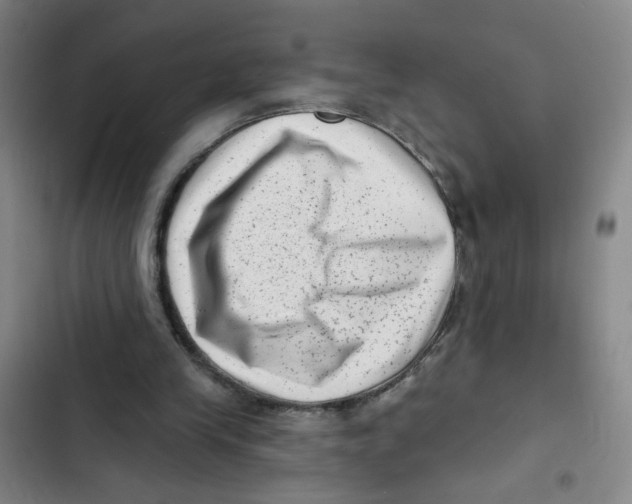 X0000102830245200809151046