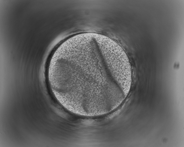 X0000102830246200809151046