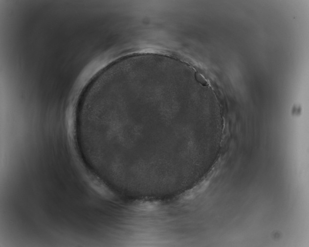 X0000102830247200809151046