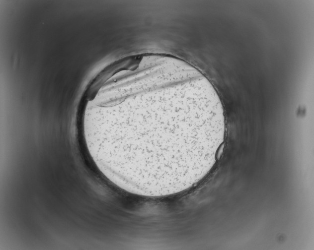 X0000102830248200809151046