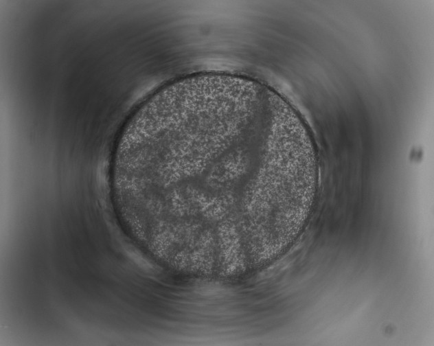 X0000102830249200809151046