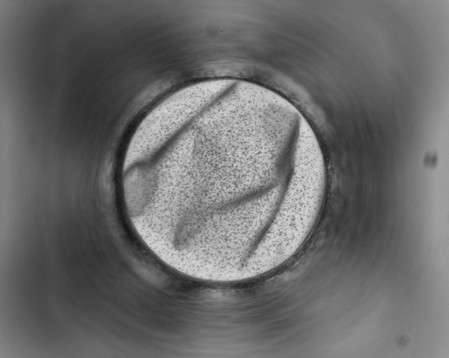 X0000102830250200809151046