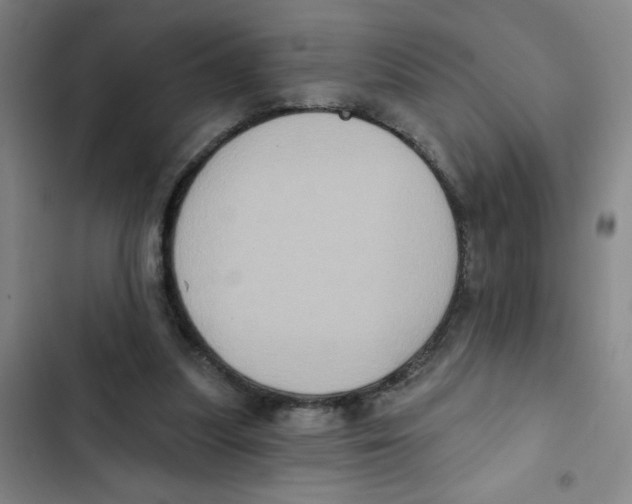 X0000102830251200809151046
