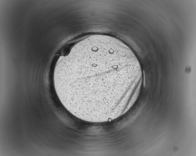 X0000102830252200809151046